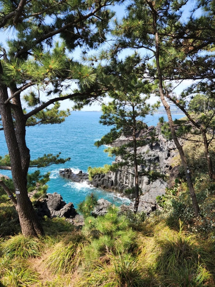 제주여행 대포주상절리 중문여행지 추천 / 아이와 가볼만한곳 제주여행 대포주상절리 중문여행지 추천 / 아이와 가볼만한곳
