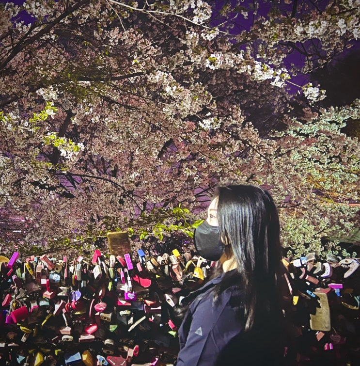  남산타워 전망대 할인 정보와 벚꽃 나들이, 야경까지