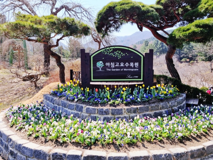  [서울 근교 당일치기 갈만한 곳] 아침고요수목원, 나린띄움 한정식 산채비빔밥