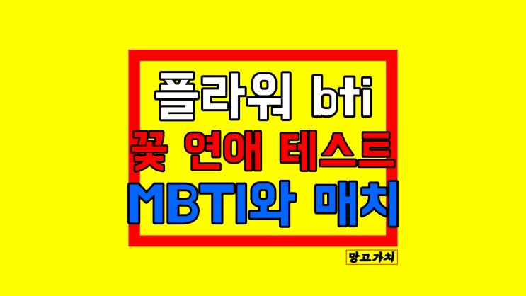 플라워bti : 꽃 연예 테스트로 보는 나의 연애 성격과 MBTI 비교 (링크O)