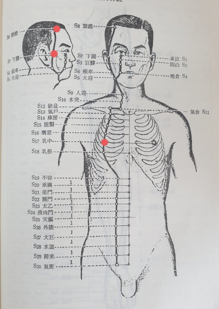  위장장애와 한의학 (2부- 치료)