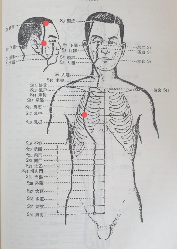 위장장애와 한의학 (2부- 치료)