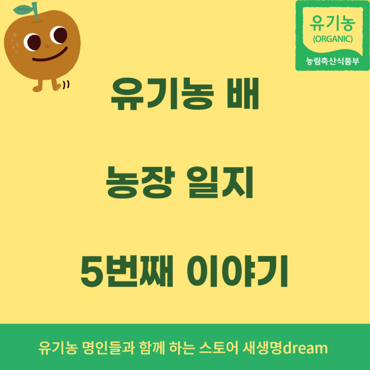  유기농 배 밭 농장이야기 5번째