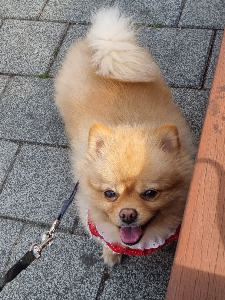  사랑이 씐났네 씐났어~