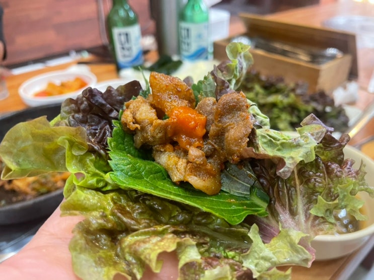  부산 동구 초량동ㅣ부산역ㅣ락원식당ㅣ돼지불백 쌈밥 맛집