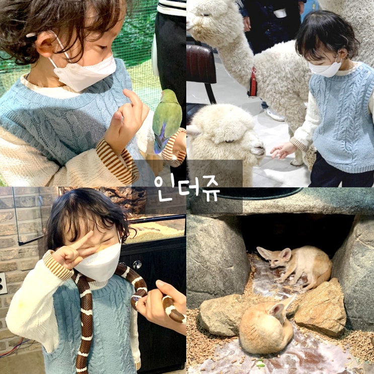 송도인더쥬 : 송도아이랑가볼만한곳 , 할인팁 송도인더쥬 : 송도아이랑가볼만한곳 , 할인팁