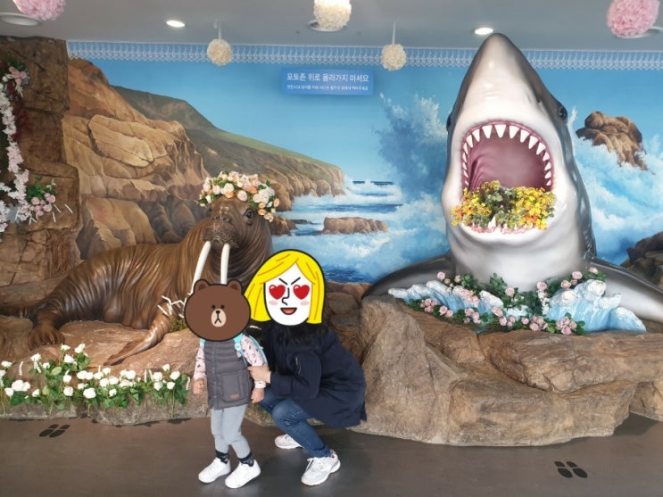  코앞에서 바코를 만나고 싶다면~(아쿠아플라넷 일산 )