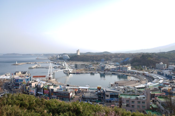  속초 가볼만한곳 대포항 주변 5