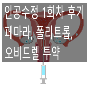  4. 인공수정 1차 과정 - 페마라, 폴리트롭, 오비드렐 투약 (1)
