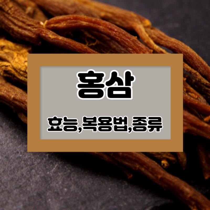홍삼의 효능 및 홍삼진액 홍삼가루 홍삼종류
