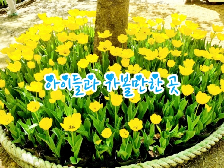 아이들과 가볼만한 곳 (feat. 국내여행지)