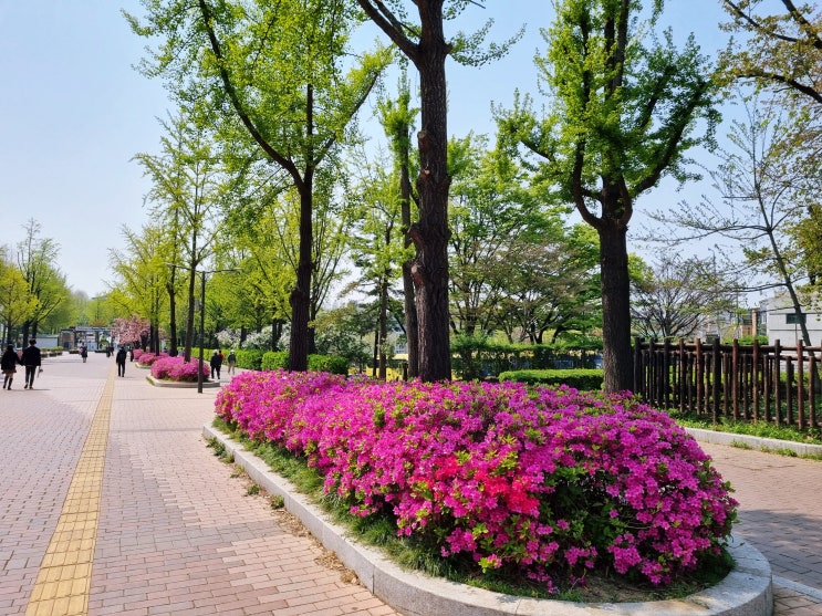  평일 어린이대공원 산책: 봄꽃 구경