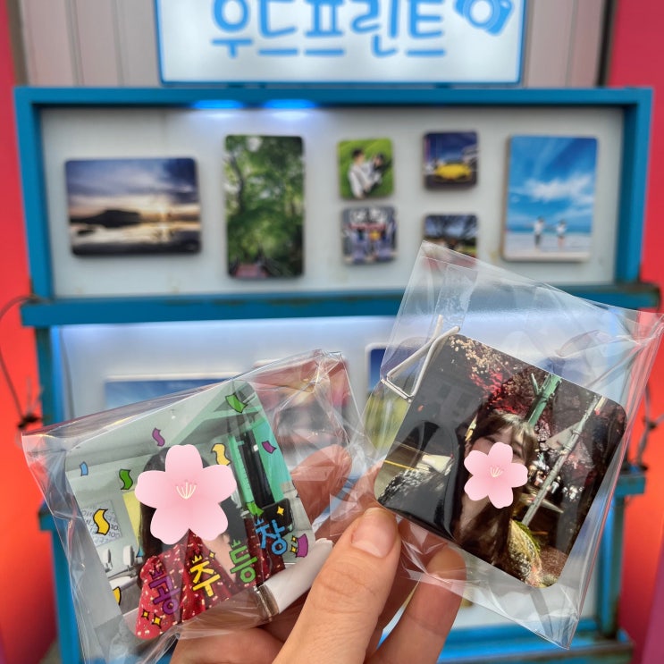 제주 서귀포 제스토리 감성소품샵 구경하기 제주 서귀포 제스토리 감성소품샵 구경하기