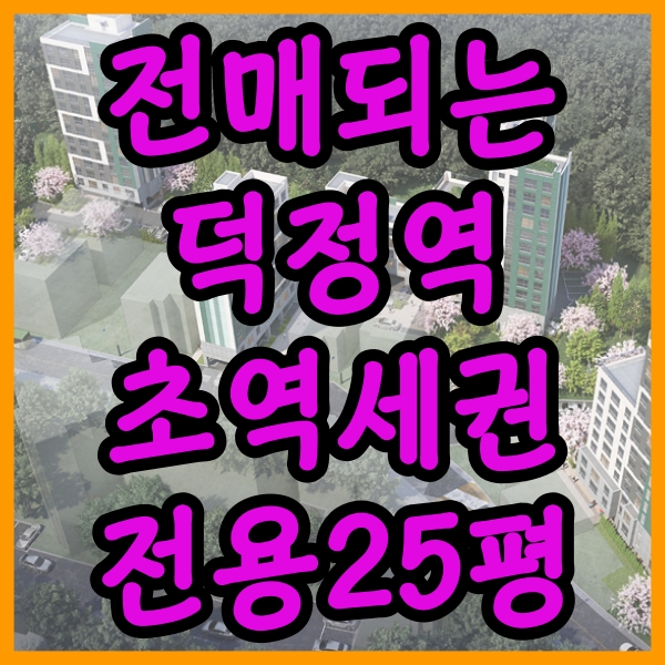  전매가능 양주시 GTX-C 덕정역 아파텔 중우아팰리스 더 포레 덕정 분양정보