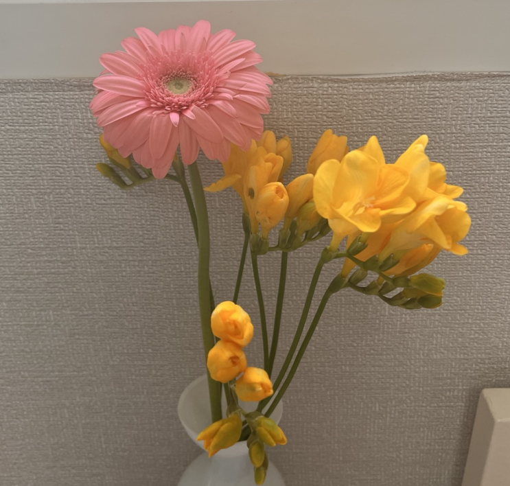  다시 정하는 블로그 정체성