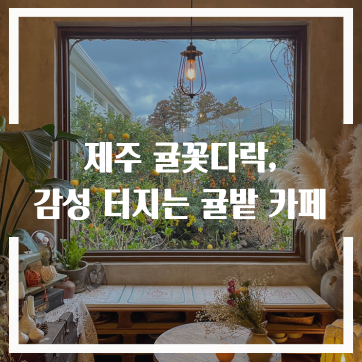  제주 귤꽃다락, 감성 터지는 귤밭 카페