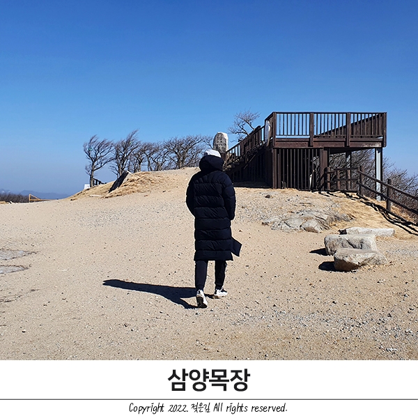 3월 대관령 삼양목장 방문후기 네이버 예약 입장권 구매 3월 대관령 삼양목장 방문후기 네이버 예약 입장권 구매