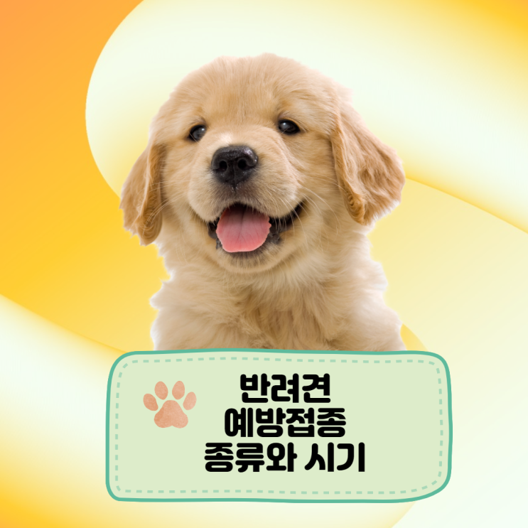  반려견(강아지) 예방접종의 종류와 시기(광견병예방접종)