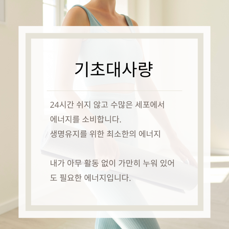인바디 평균, 여자 기초대사량 계산 및 뜻 알려드려요. : 네이버 블로그 인바디 평균, 여자 기초대사량 계산 및 뜻 알려드려요. : 네이버 블로그