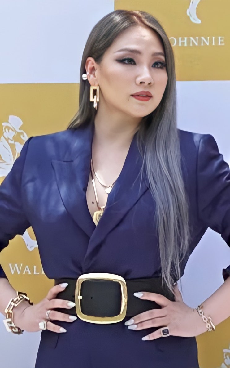  오늘의 영어 공부 : 뿜어져 나오는 자신감! it`s matter of time 外, 2NE1의 CL 영어 인터뷰 번역