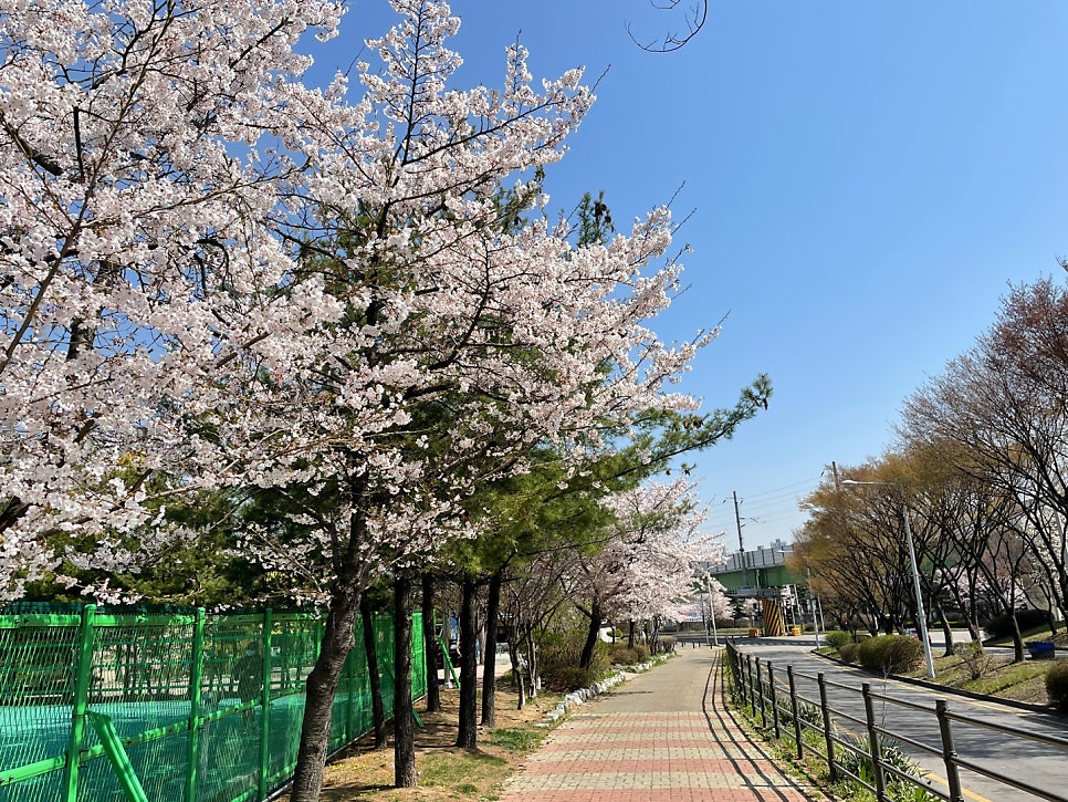 김쉐프 사진 4