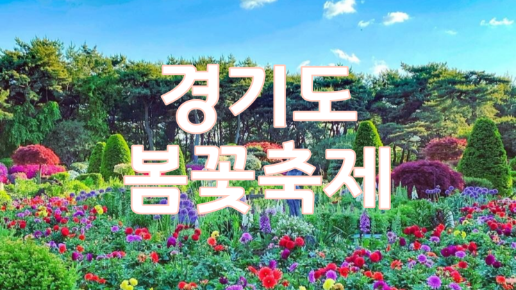  [경기도 봄꽃 축제]  서울근교 나들이하기 좋은 곳 Best 4- 파주 벽초지 수목원, 경기도 화담숲 수선화, 가평 아침고요수목원, 용인 에버랜드 튤립축제