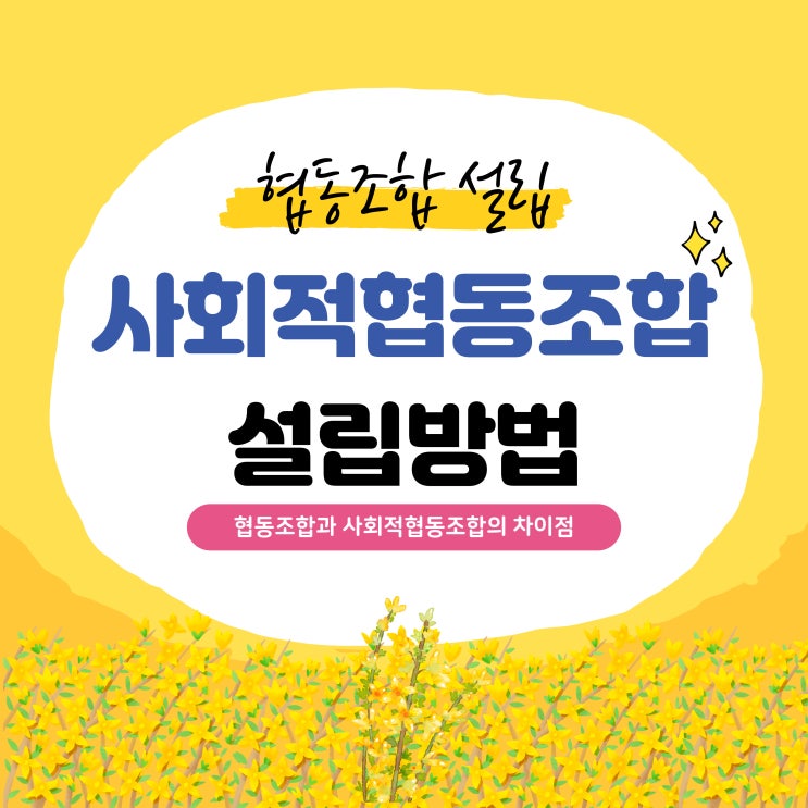  사회적협동조합 설립 방법 및 협동조합과의 차이점 안내