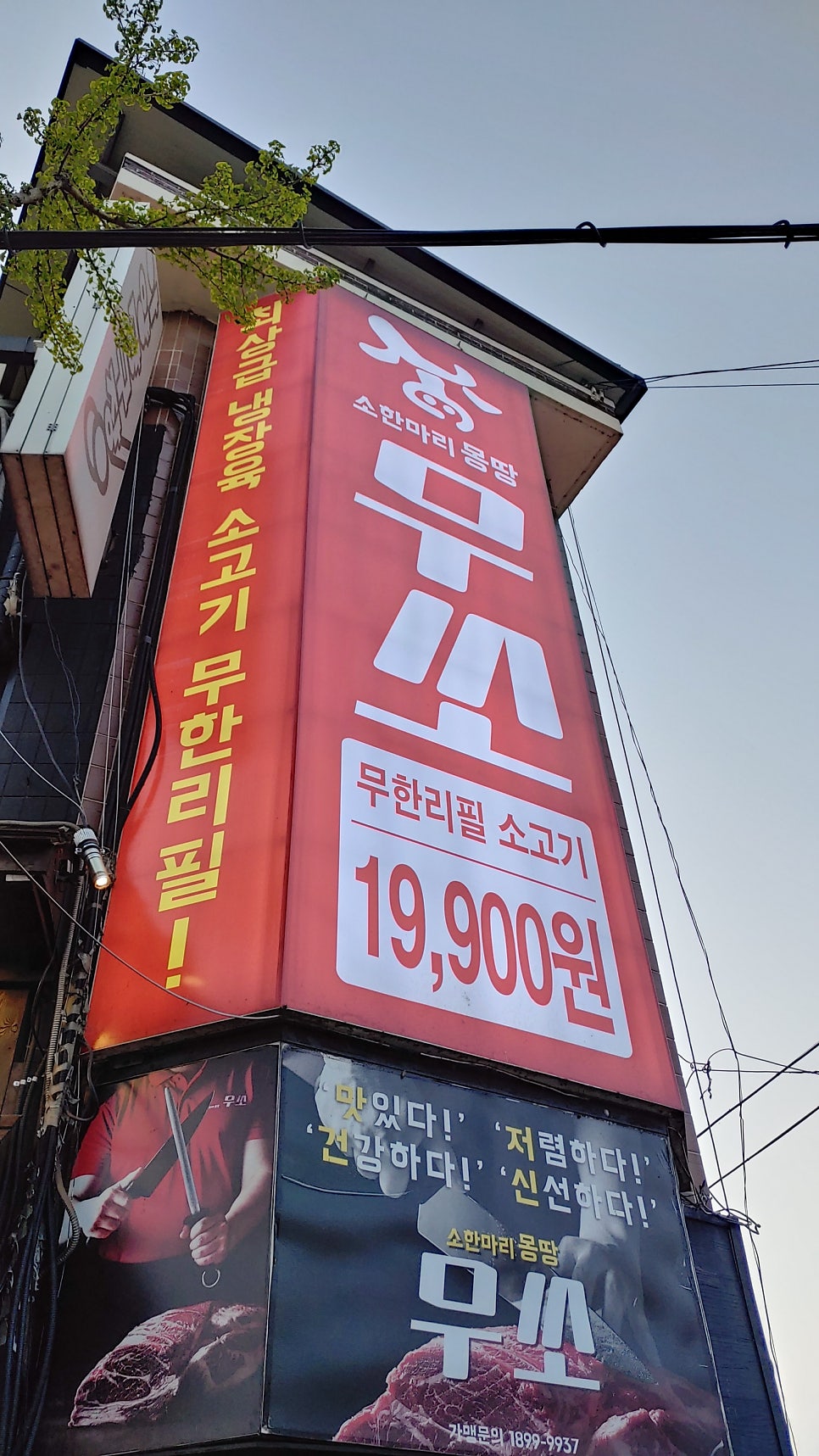 무쏘 안성점 사진 1