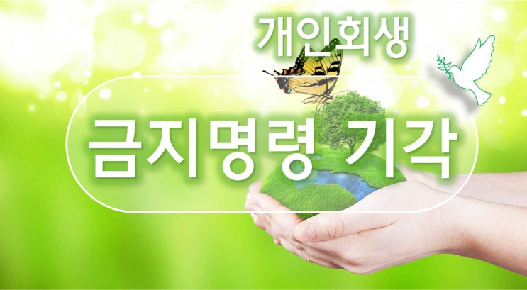  개인회생 금지명령 기각 되었을때 대처방법은?