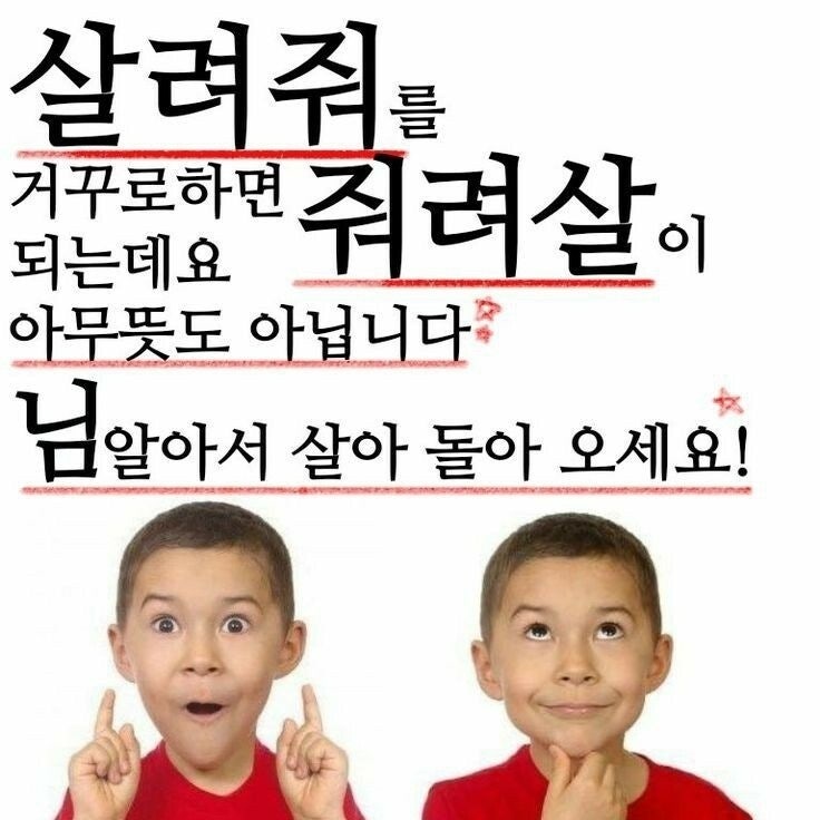 시간이 너무 빨리 흐르네요...