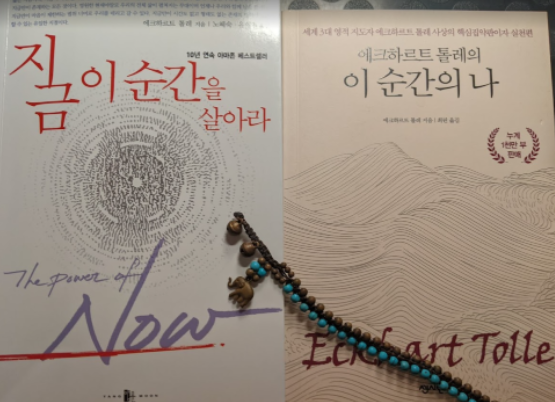  에크하르트 톨레 - 지금 이 순간을 살아라