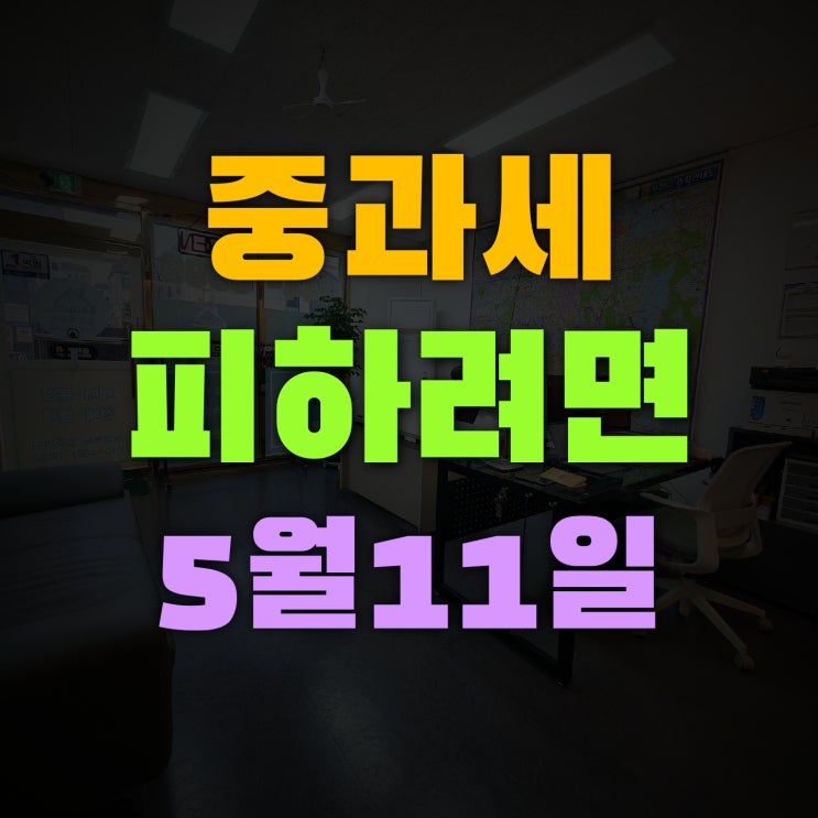  다주택 중과세 1년유예 나의 선택은