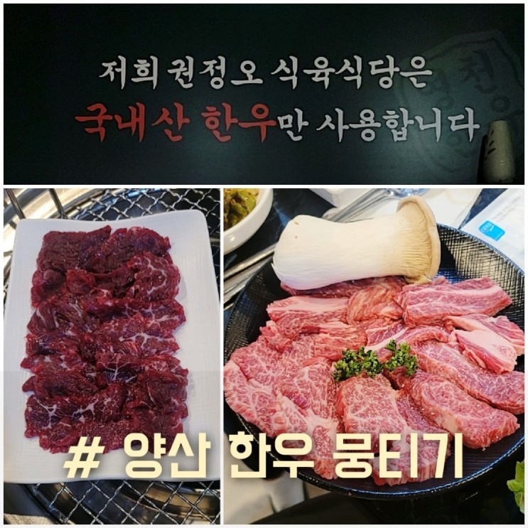 양산증산맛집 권정오식육식당에서 국내산 한우 뭉티기(육사시미)와 소고기 맛 보고 왔어요!