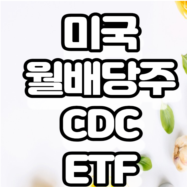 미국 월배당 안정성장성 CDC ETF 미국 월배당 안정성장성 CDC ETF