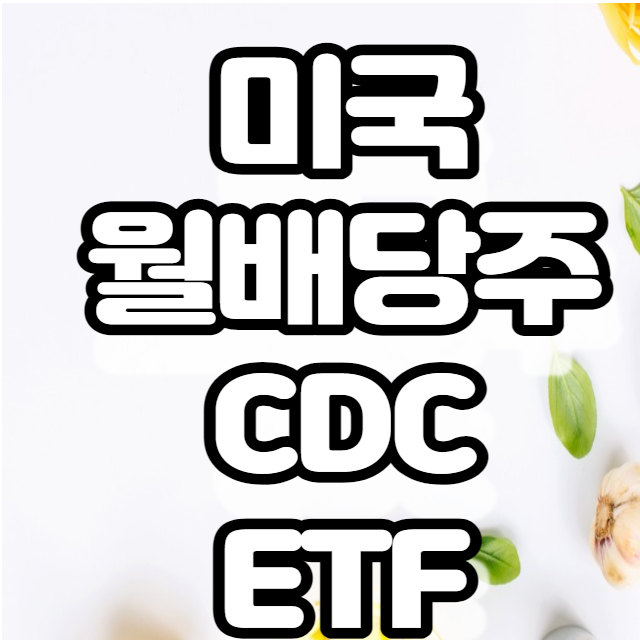 미국 월배당 안정성장성 CDC ETF