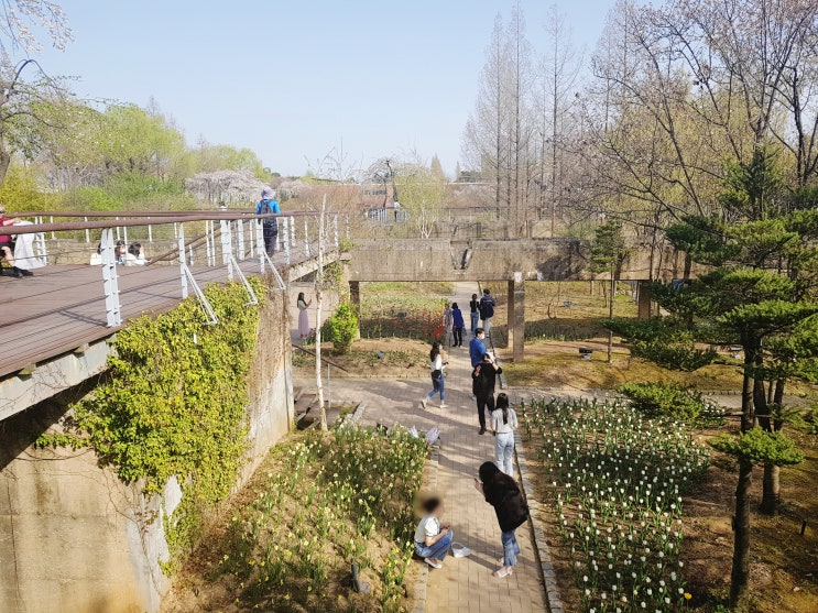 (서울 여행) 선유도공원 방문기! 봄꽃 가득한 공원과 전망대 구경하고 선유교 걸어보자~
