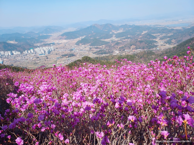  [차박 캠핑] 경남 봄나들이(8/11) : 진달래 명소 천주산 등산
