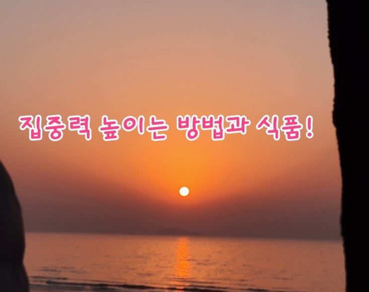 집중력 높이는 방법과 식품! 집중력 높이는 방법과 식품!
