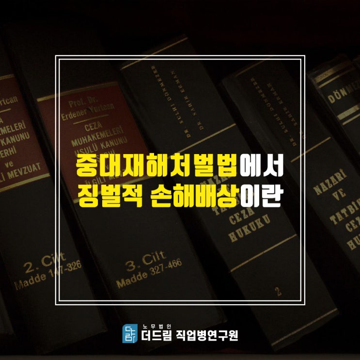 [더드림TV] 변호사가 말하는 중대재해처벌법 징벌적 손해배상