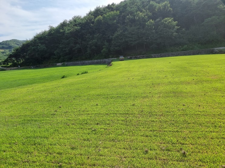  잔디 상차방법 및 하차 방법