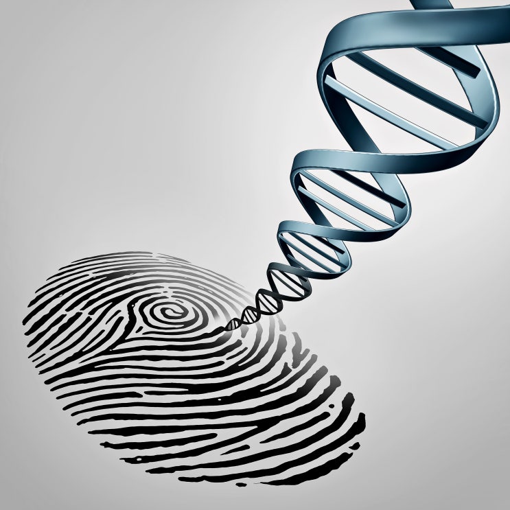 친자확인 유전자검사 가격과 신청방법