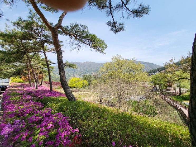  화순 트레킹 후 화순카페에서