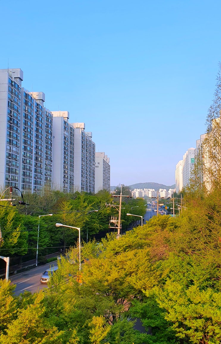  예고입시 첫상담 어떤 질문을 많이 할까요?_탄현동미술학원 예고,미대입시전문학원