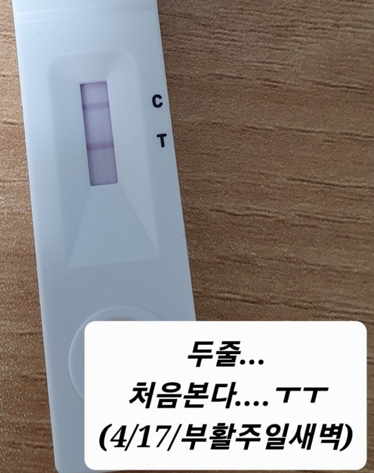  일요일 신속항원검사 병원 , 건강상태자가진단 방법