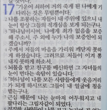 욥의 시련(욥기) 17장 욥의 시련(욥기) 17장