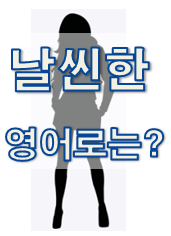  (영어 유의어) '날씬한 / 마른' 영어로 어떻게?