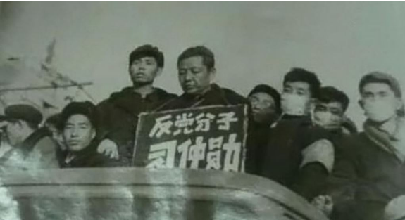  홍위병 이야기