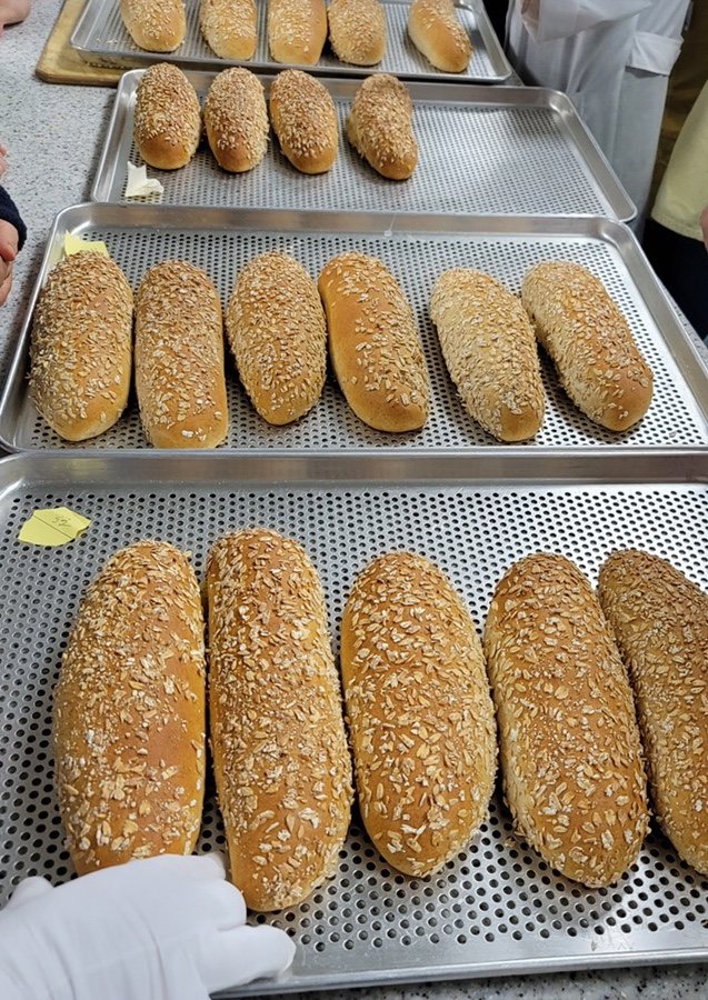  제빵 :: 2주차 통밀빵, 그리시니 / 보기보다 맛있!자격증 빵