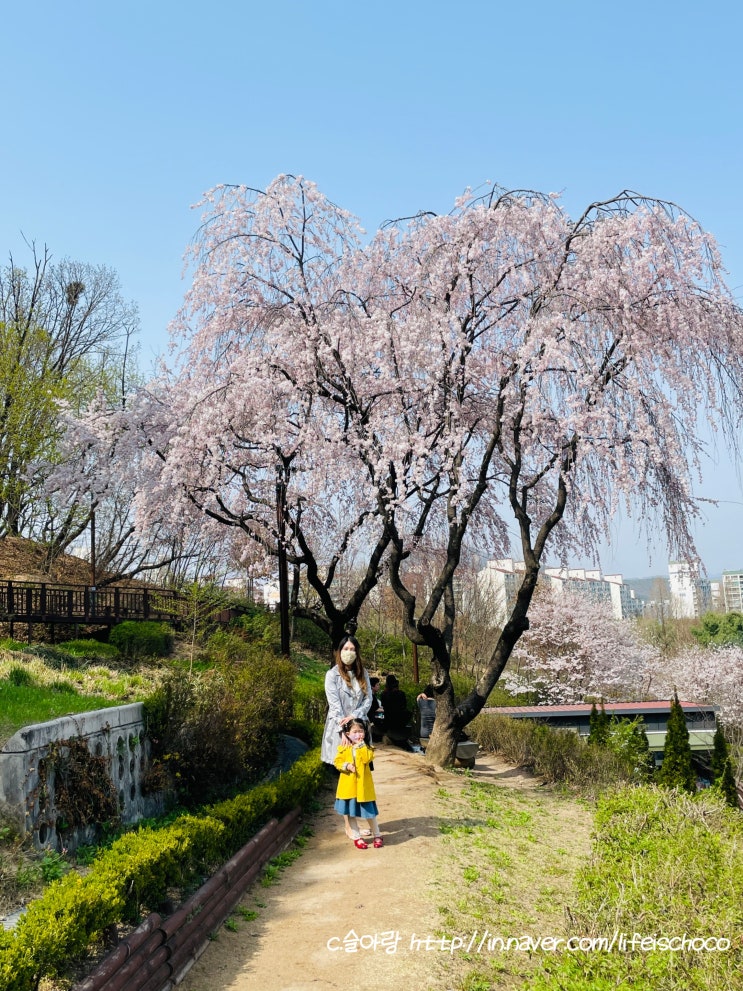 서울 봉화산옹기테마공원 아이와 봄에 걷기 좋은 길