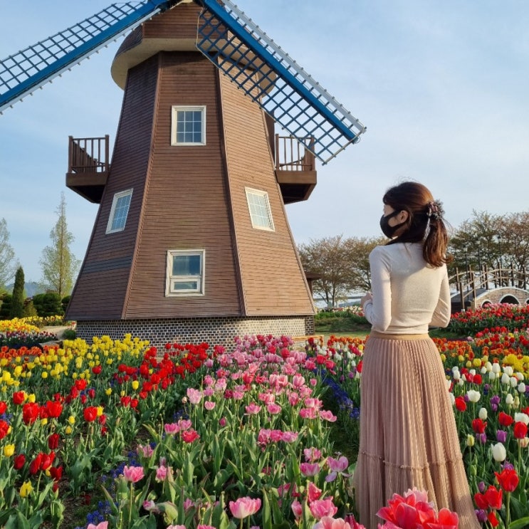순천 정원박람회 순천만국가정원 네덜란드정원 튤립 유채꽃밭 4월 여행지로 좋아요